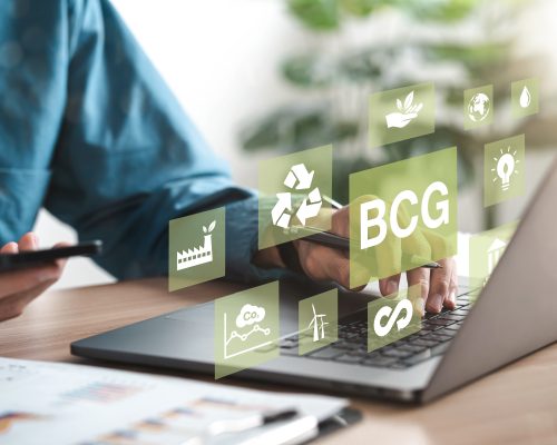 BCG for sustainable economic development, BCG concept, bioeconomy, green economy